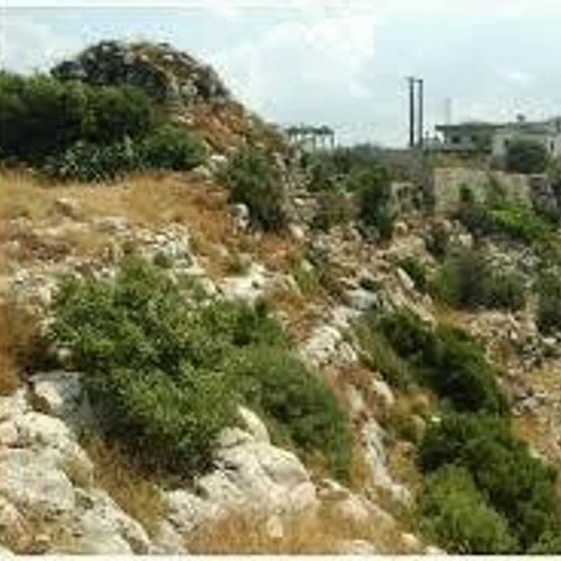 Al-Qouz Castle