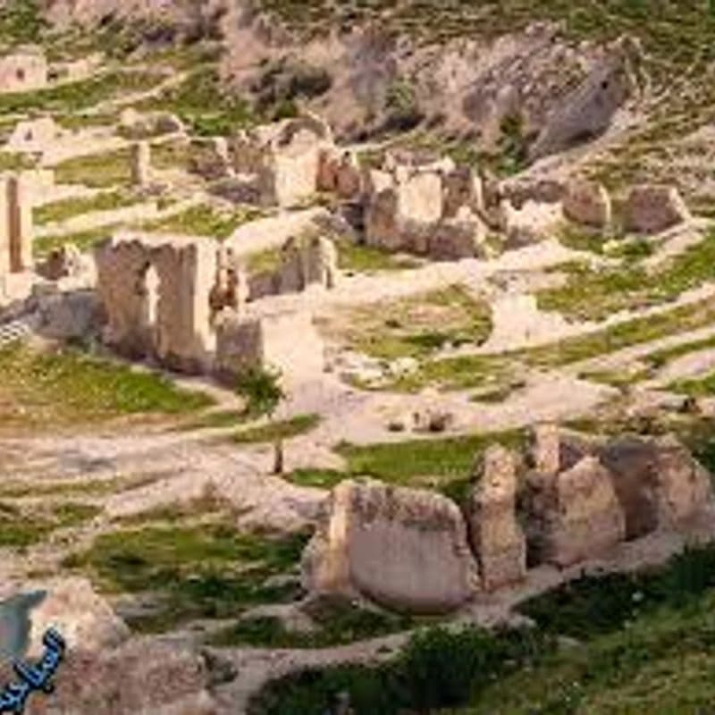 Ancient City of Qatna
