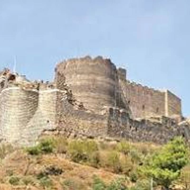 Homs Castle