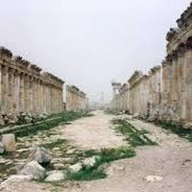 Apamea