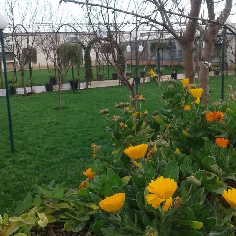 منتزه جنة الاء
