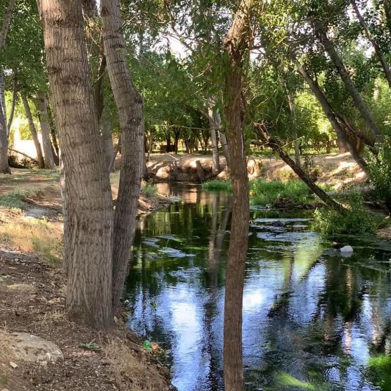 منتزه الرائد