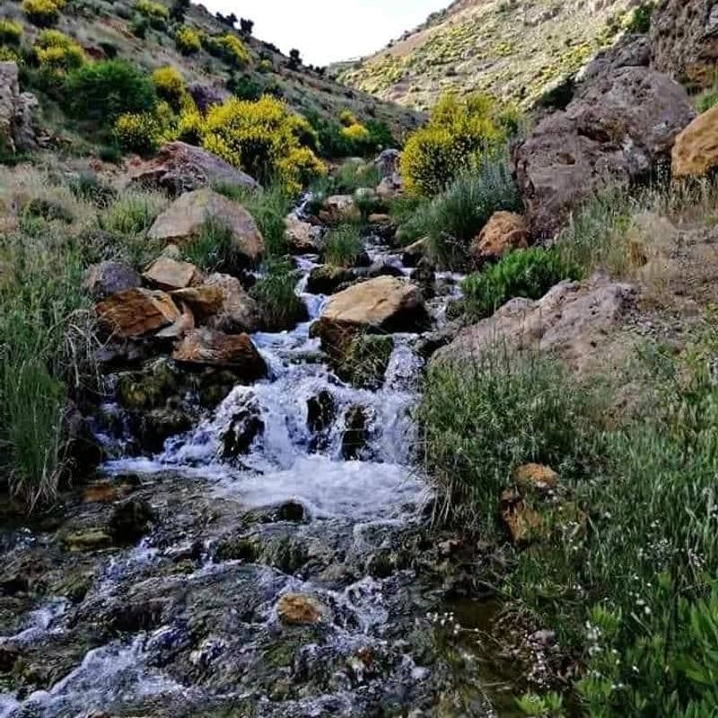 منتزه رأس النبعة