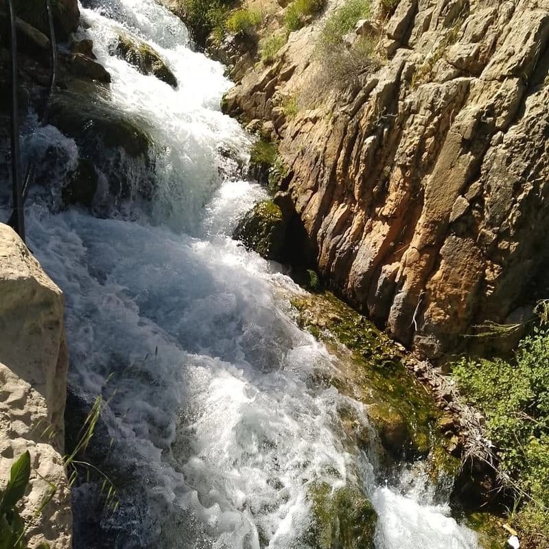 منتزه الجنان
