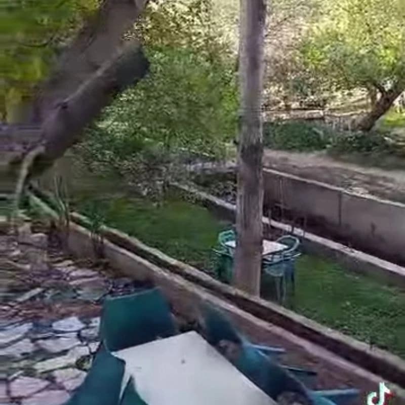 منتزه ابو علي السمان