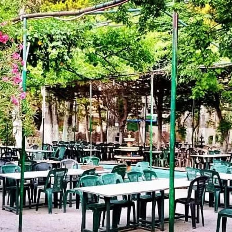 منتزه الصفصاف