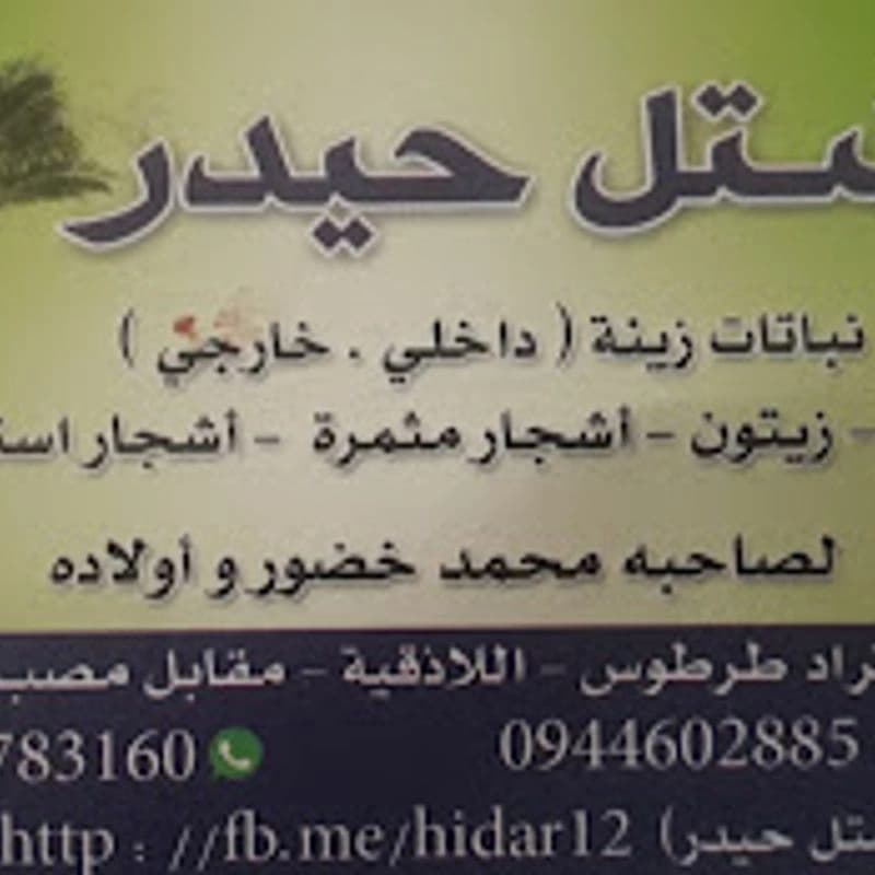مشتل حيدر