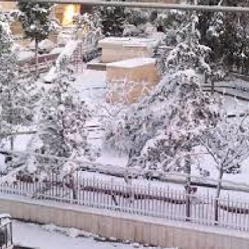 حديقة بستان الرز