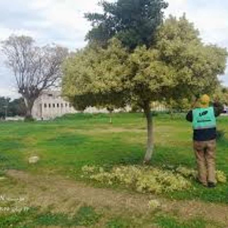 حديقة البونياحي