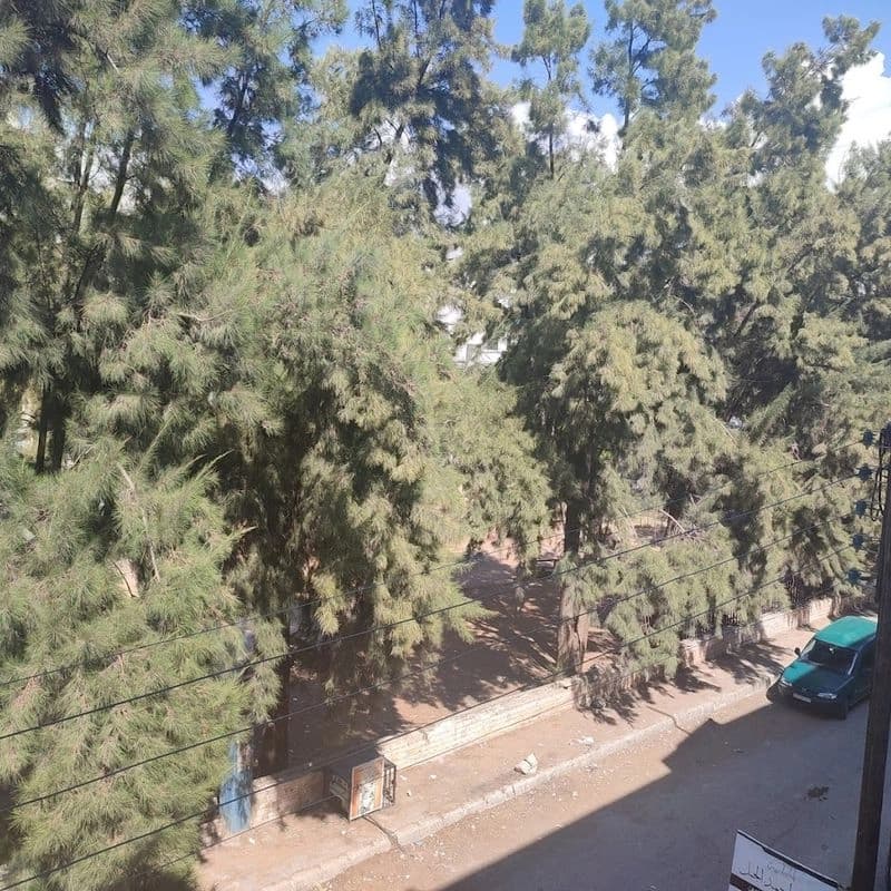 حديقة سام