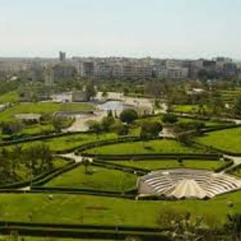 حديقة الساحة