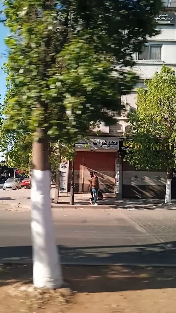 مجوهرات سارة