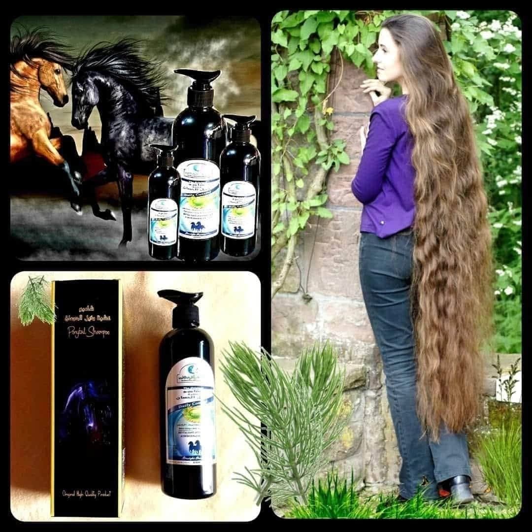 بريكس حلب /انتصار/