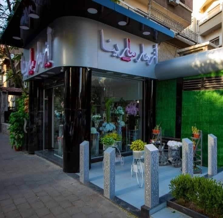 أزهار مارينا