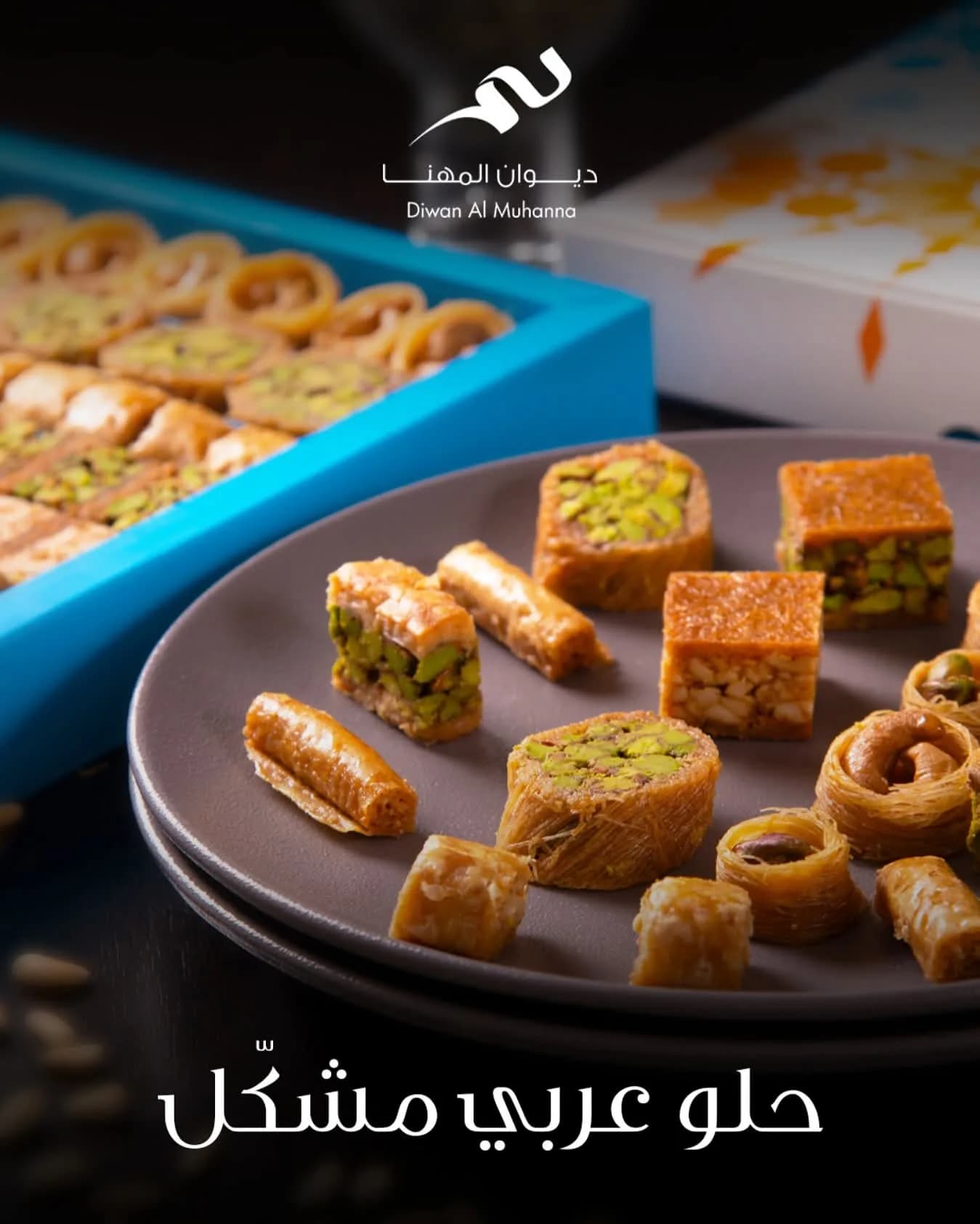 ديوان المهنا المالكي