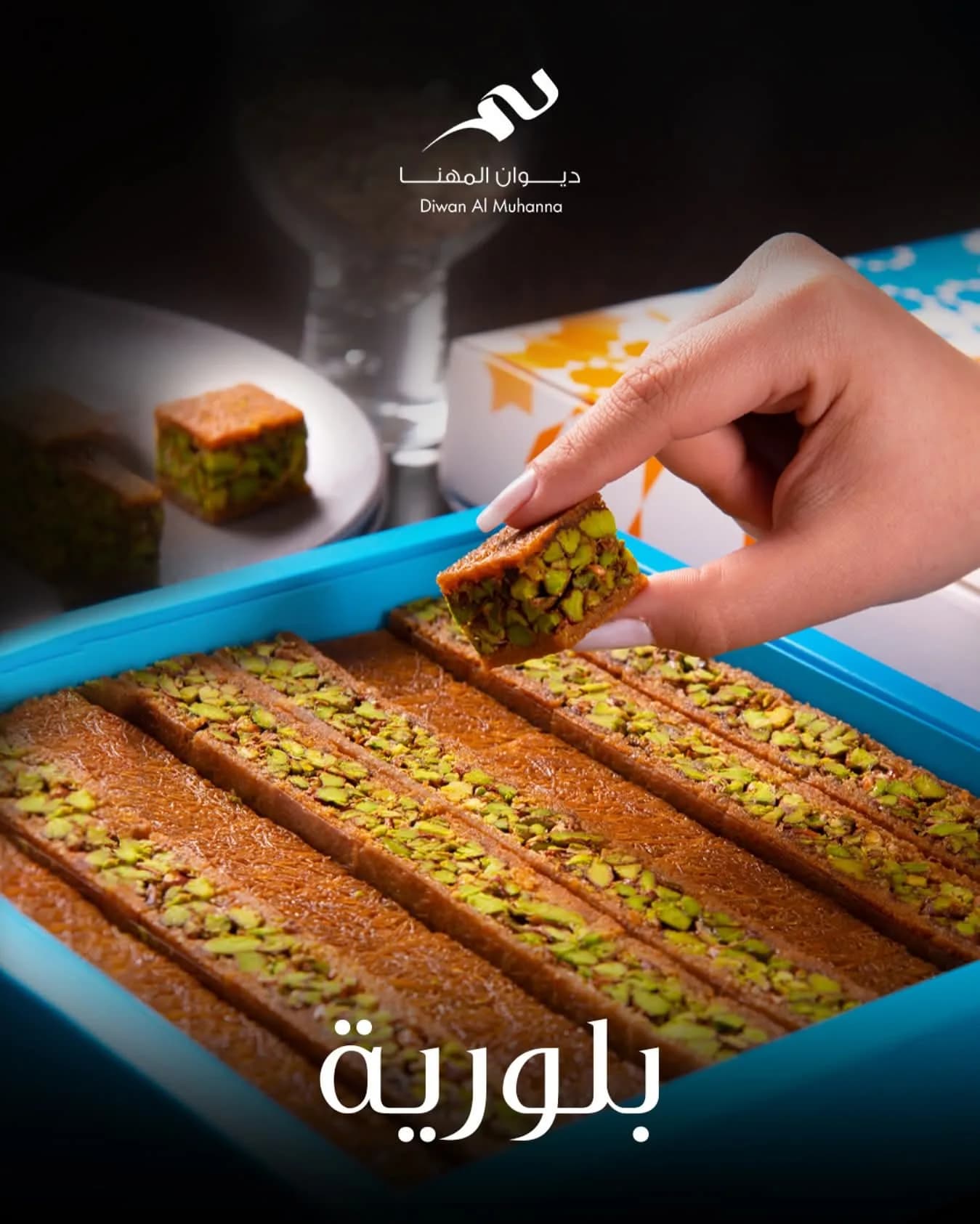 ديوان المهنا الغساني