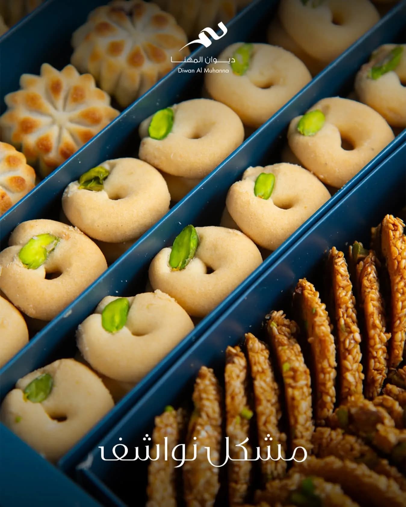 ديوان المهنا دمر