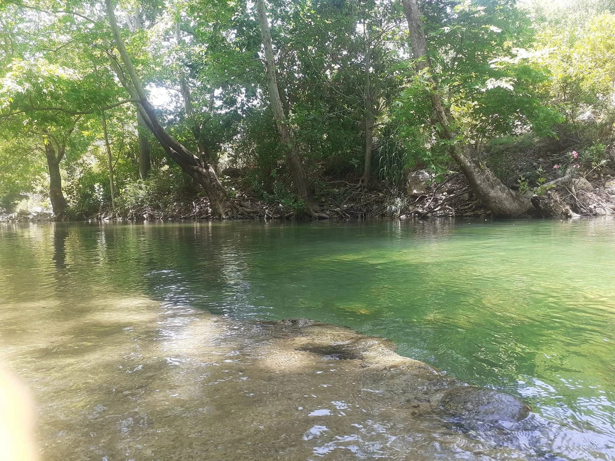 مطعم جنة العزق