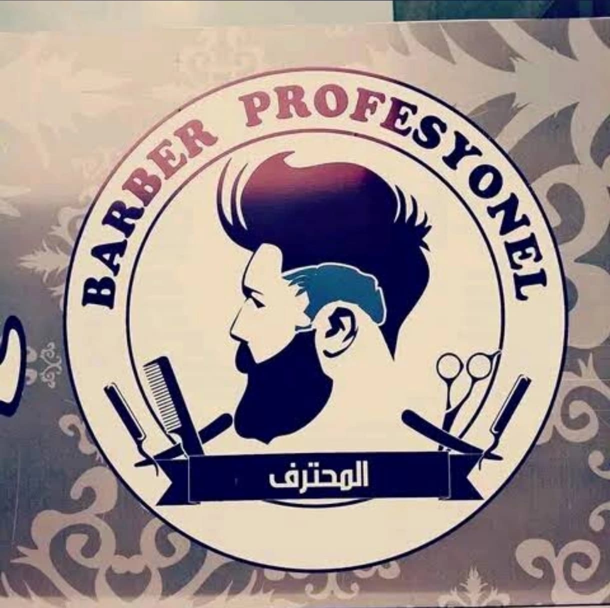 صالون المحترف