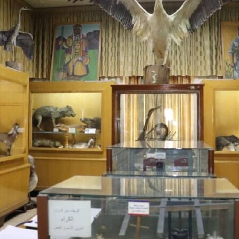 Syrian Agricultural Museum