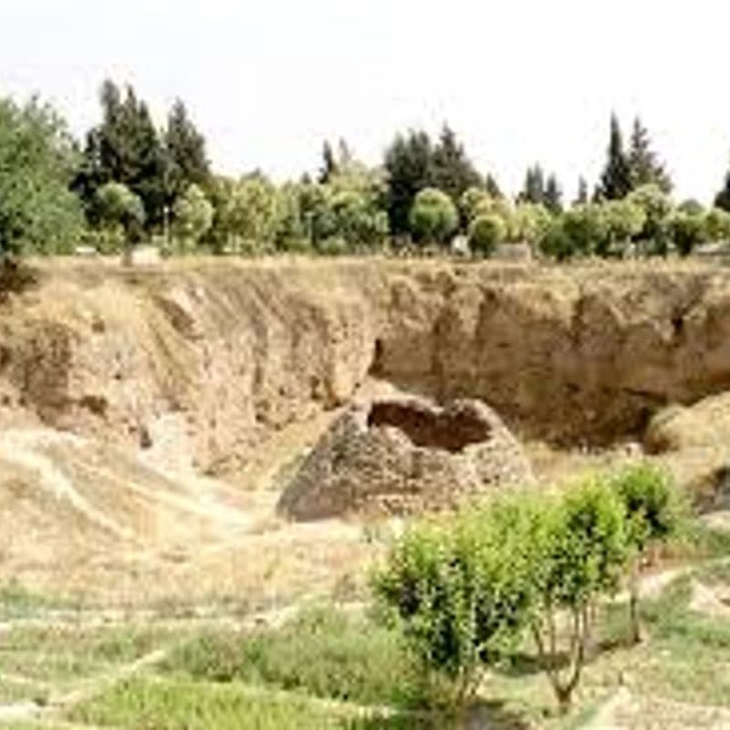 Hama Citadel