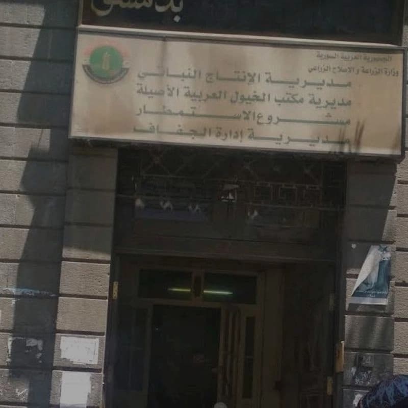 مكتب الخيول العربية